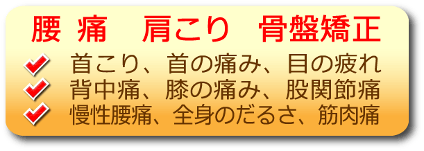 腰痛,肩こり,骨盤矯正,首の痛み,目の疲れ,背中痛,膝の痛み,股関節痛,腰痛,全身のだるさ,筋肉痛